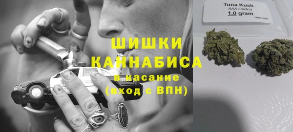 PSILOCYBIN Беломорск