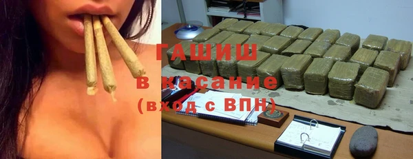 гидра Богданович