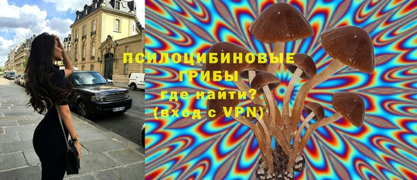СК Валдай