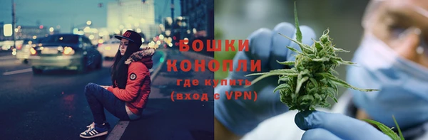 2c-b Белокуриха