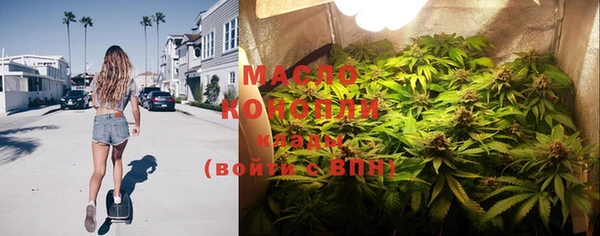гидра Богданович