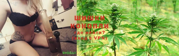 PSILOCYBIN Беломорск